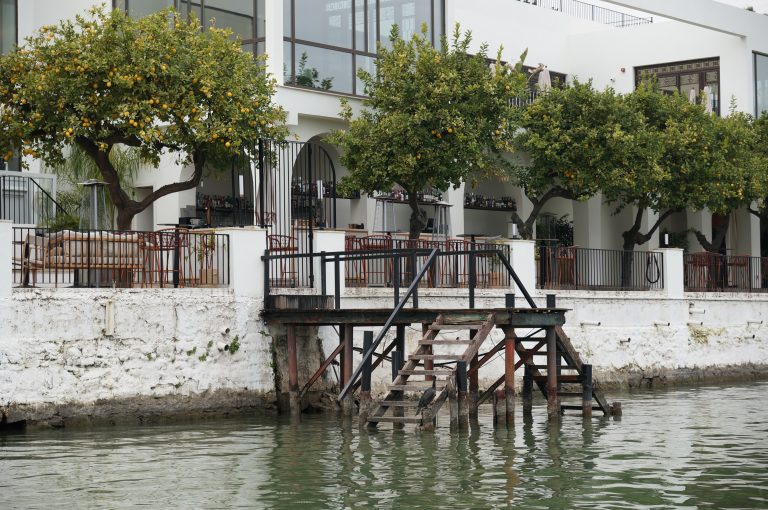 A waterfront view of a building with large glass windows and a patio shaded by orange trees bearing fruit. A wooden staircase leads from the water to the patio area, bordered by a railing.