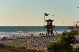 Lifeguard tower on a sandy beach with a green flag waving and people relaxing by the sea. Several birds are flying over the ocean, and the sky is clear. White waves roll gently onto the shore where beachgoers enjoy the sun.