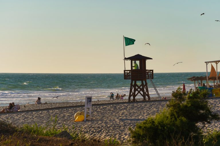 Lifeguard tower on a sandy beach with a green flag waving and people relaxing by the sea. Several birds are flying over the ocean, and the sky is clear. White waves roll gently onto the shore where beachgoers enjoy the sun.