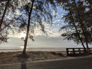 Beach at sunset, with tall trees silhouetted against a sky filled with scattered clouds.