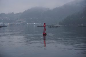 A red buoy with a light on top floats on calm water, with misty hills and a small coastal village visible in the background under a gray sky.