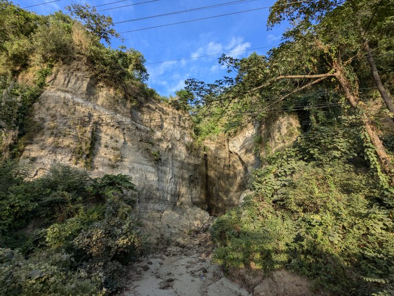 A rocky cliff face covered in lush green vegetation under a clear blue sky.