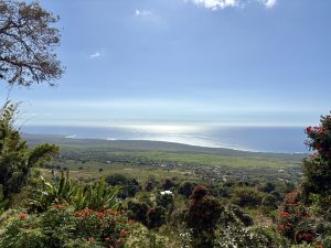 The western Hawaii coast from high up with lush greenery and red flowers.