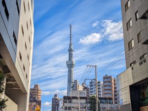 A view of Tokyo Skytree from afar