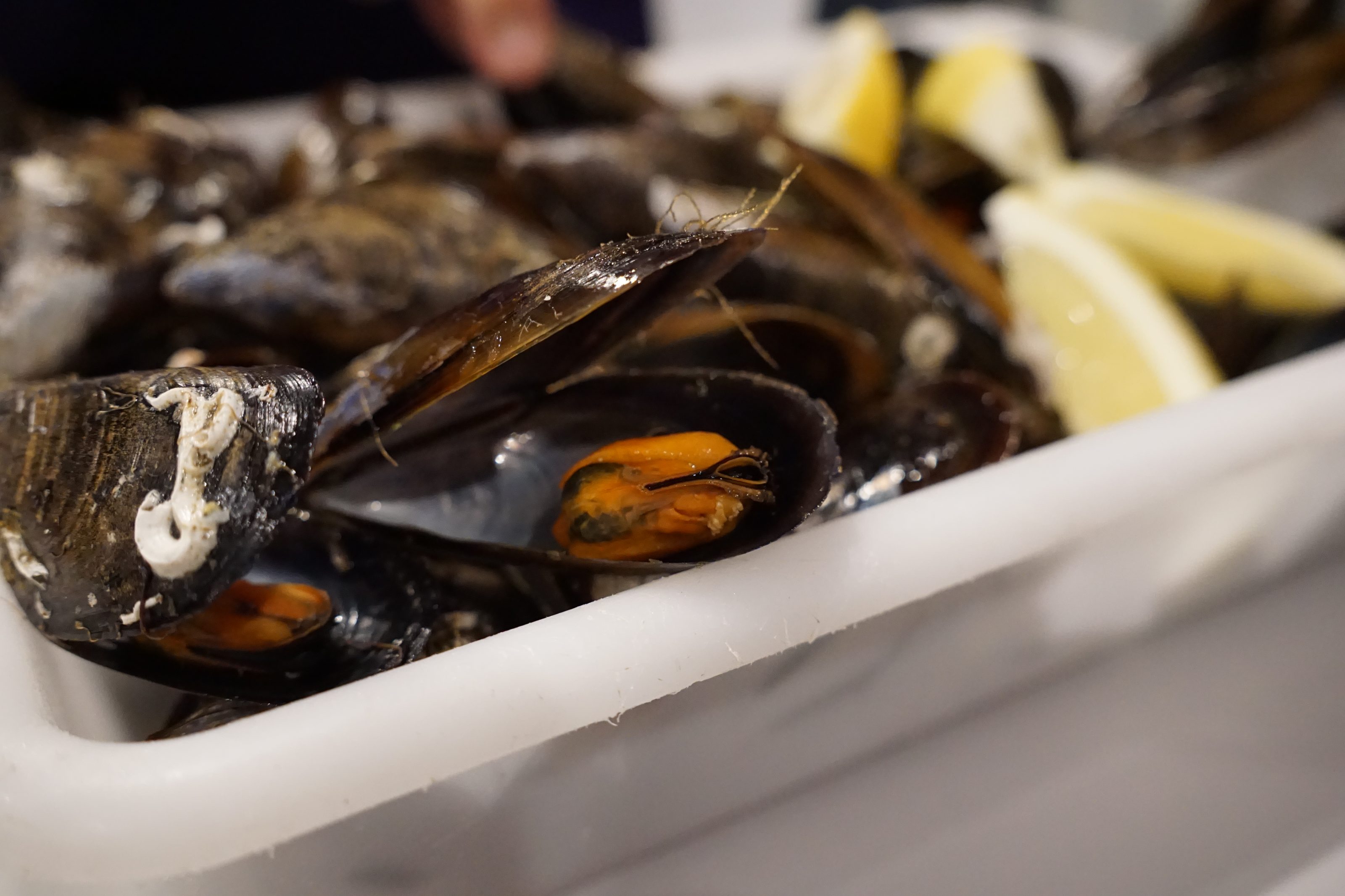 A close-up image of a tray filled with steam cooked mussels, some of which are open revealing the orange meat inside. There are lemon wedges in the background.