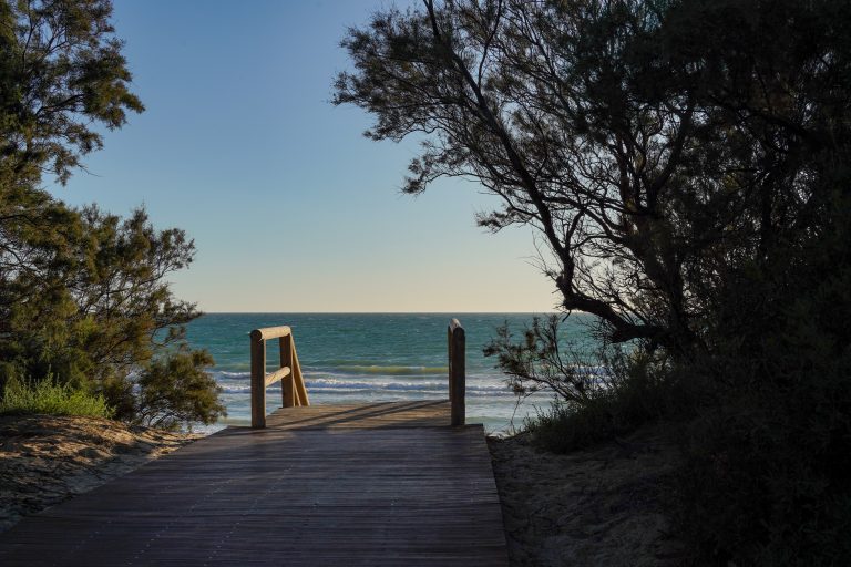 Wooden boardwalk leading to a sandy beach, flanked by trees, with the ocean and horizon visible in the background under a clear blue sky.