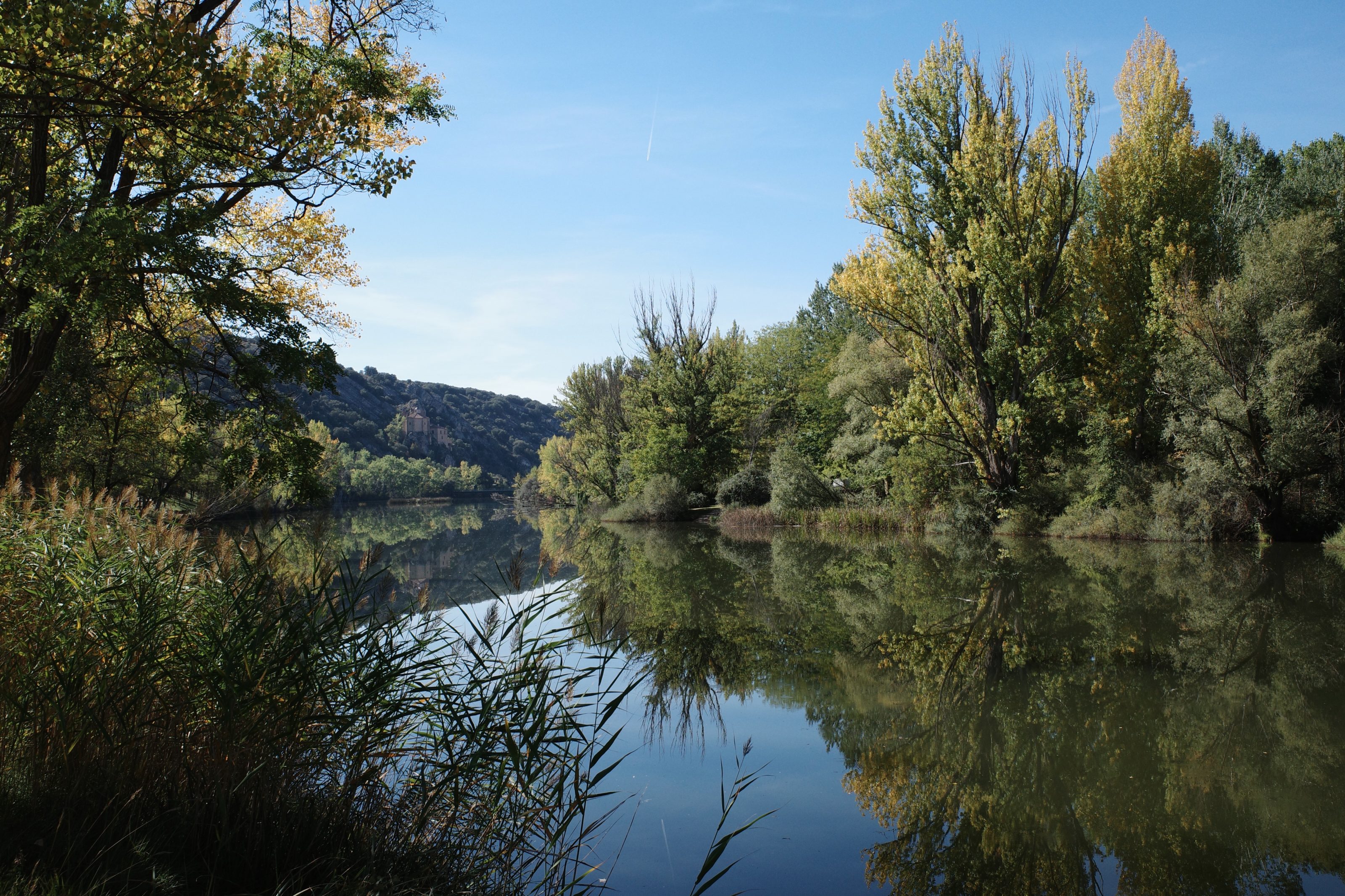 Trees and their reflections on the Duero river near Soria, Spain.