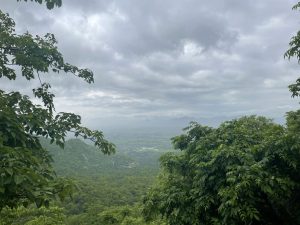 A lush green landscape with dense foliage in the foreground, overlooking a vast valley and distant hills under a cloudy sky