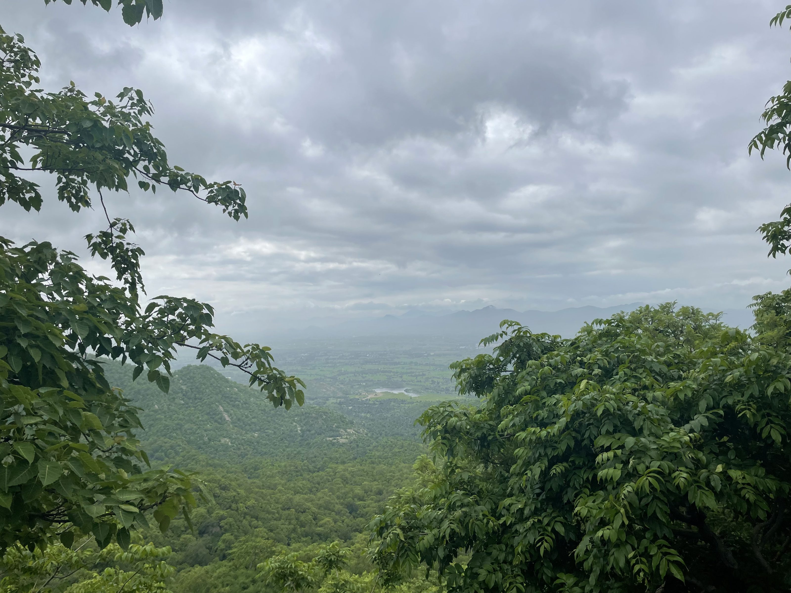 A lush green landscape with dense foliage in the foreground, overlooking a vast valley and distant hills under a cloudy sky