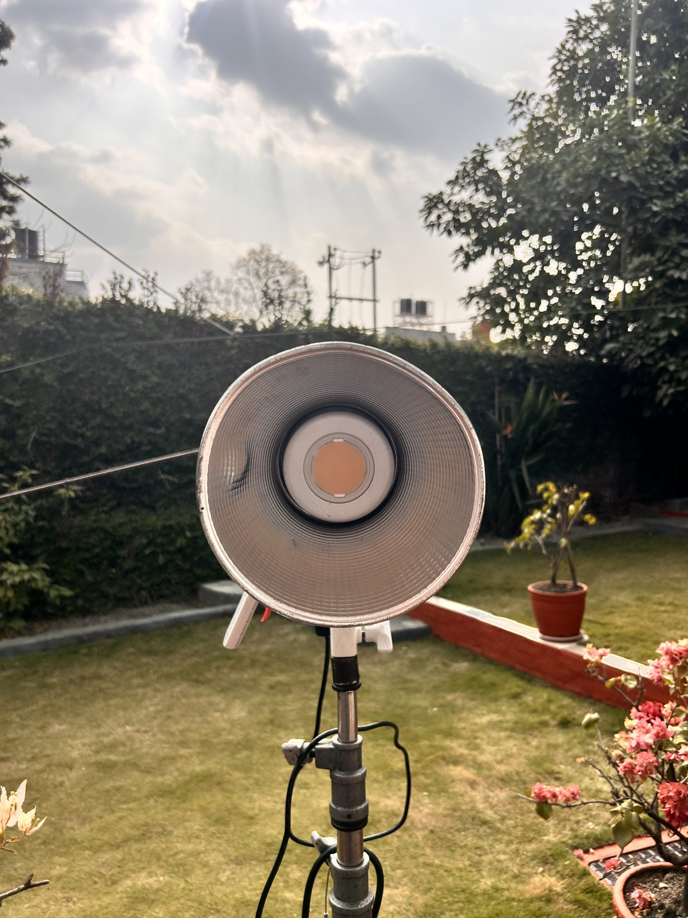 A outdoor studio light stands in a garden setting, with potted plants and a green lawn in the foreground. 