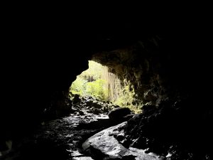 A photo from inside a cave towards the exit with lush greenery.