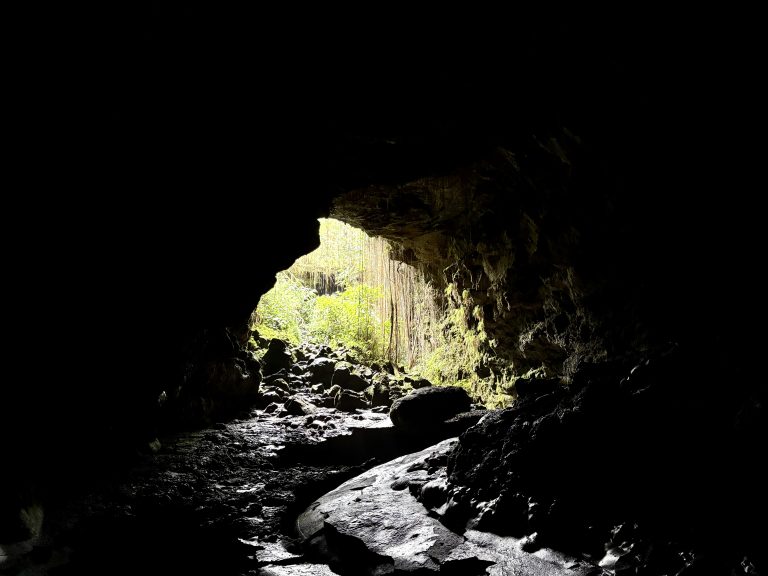 A photo from inside a cave towards the exit with lush greenery.