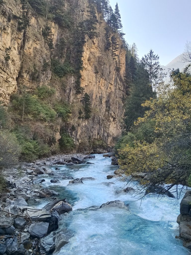 A scenic view of a clear, flowing river cutting through a rocky landscape, surrounded by tall cliffs with greenery and pine trees. The blue water contrasts with the rugged rocks and lush vegetation.