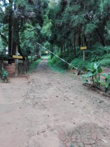 A dirt path leading through a dense forest area with trees on both sides. A wooden post with a yellow sign reads "Raniban Post" on the left, and another yellow sign on the right says "Only for Walkers." A horizontal barrier is positioned across the path.