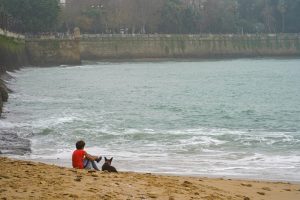 A person in a red shirt sits on a sandy beach next to a dog, both facing the sea with gentle waves. There's a stone wall and a line of trees in the background.