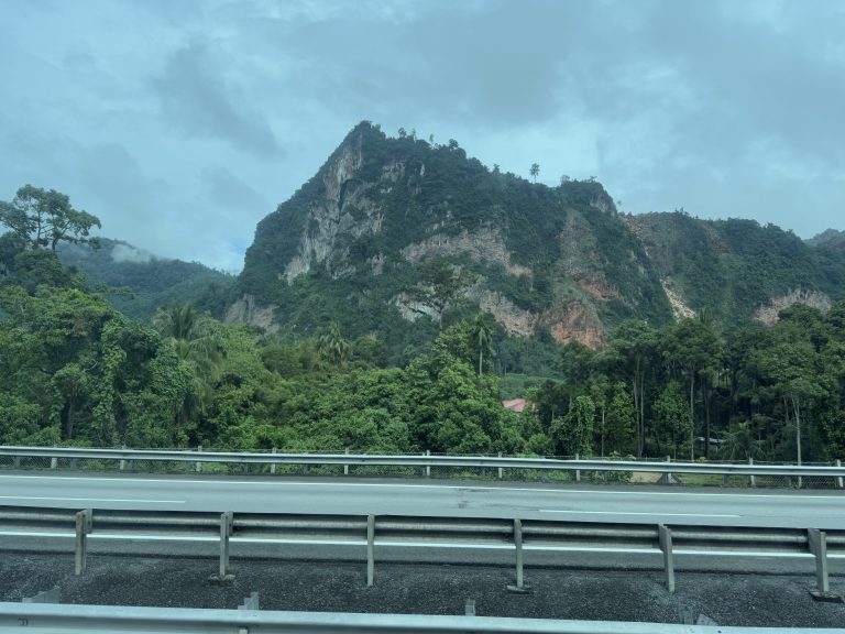 A tall rocky mountain covered in lush green forest rises against a cloudy sky, with palm trees dotting the landscape and a highway guardrail visible in the foreground.