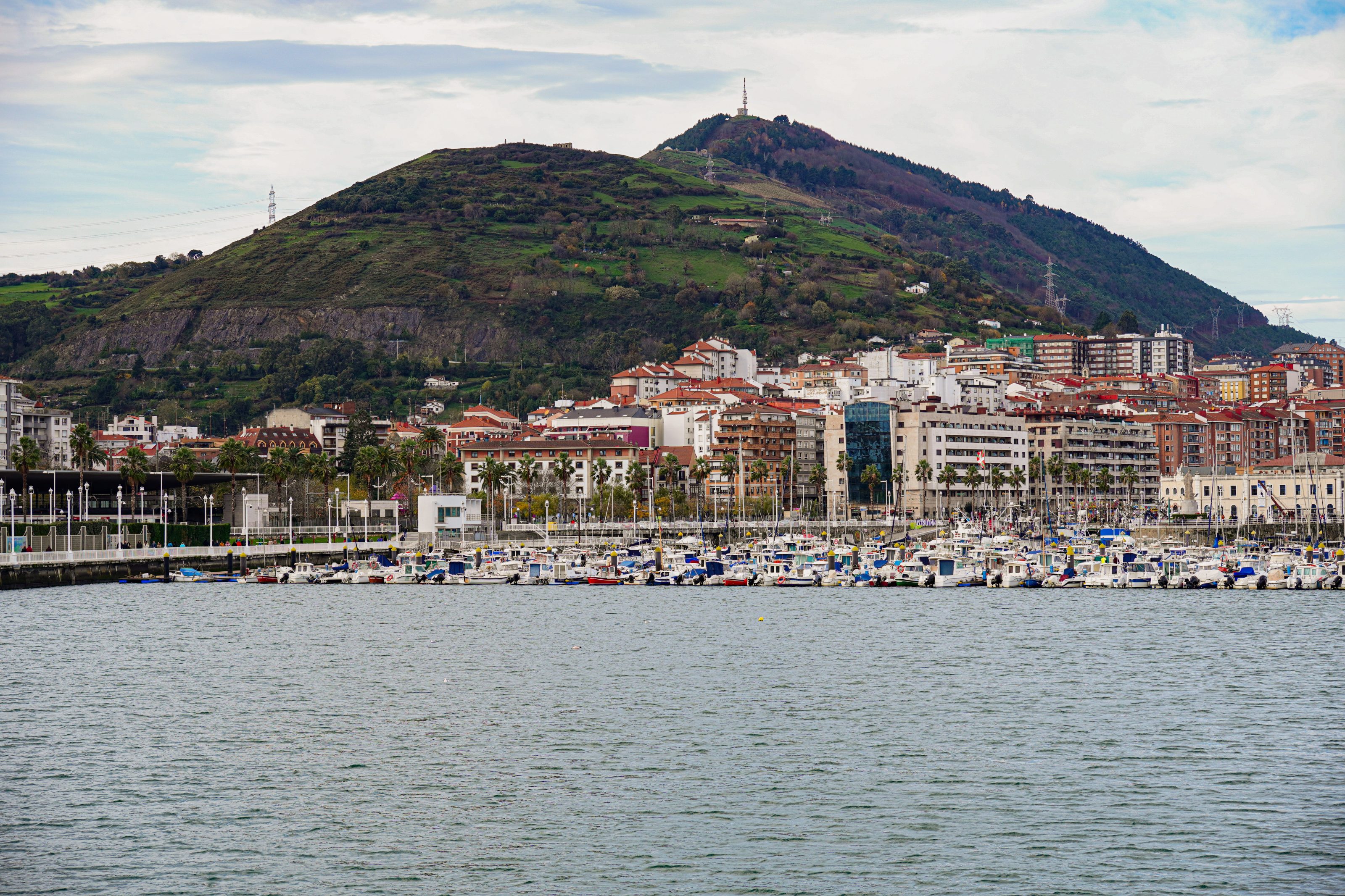 A coastal cityscape with a marina in the foreground, filled with various boats and yachts. Behind the marina, there is a row of palm trees and modern buildings with red-tiled roofs.