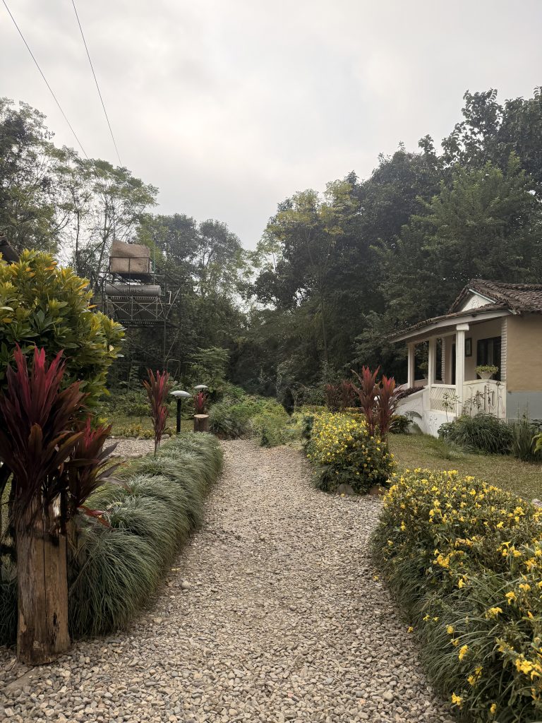 A gravel pathway leads through a lush garden with yellow flowering plants and red-leafed shrubs on either side. Trees line the path, and there is a small, white building with a tiled roof visible on the right.