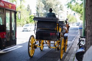 A person is driving a horse-drawn carriage with large yellow wheels down a city street. The carriage is traveling alongside a red bus. Trees and other vehicles are visible in the background.