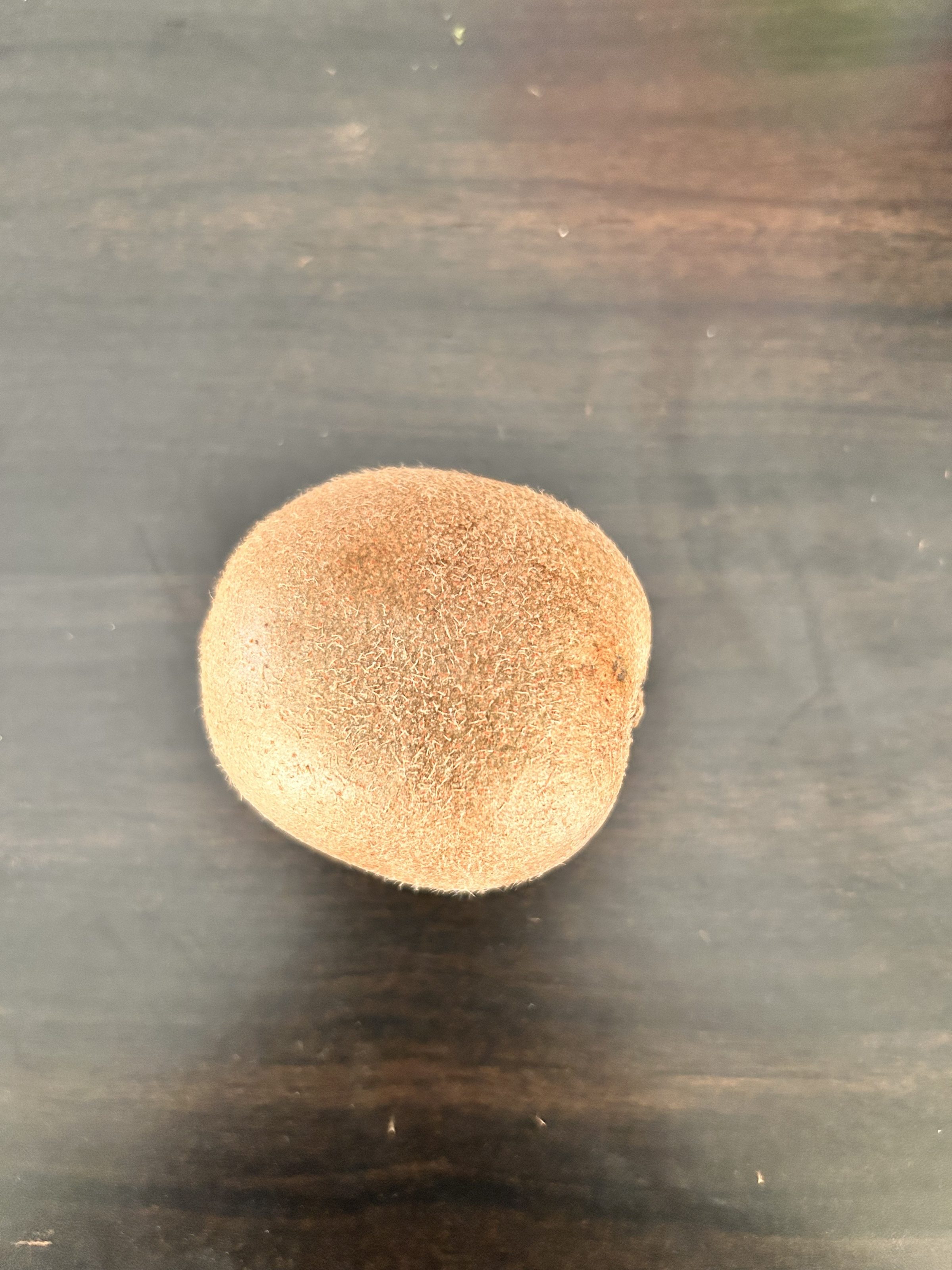 A single kiwi fruit with a fuzzy brown skin resting on a dark wooden surface.