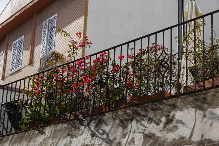 Balcony garden with vibrant pink and red flowers climbing through the metal railing. The building behind has brick walls and white lattice windows.