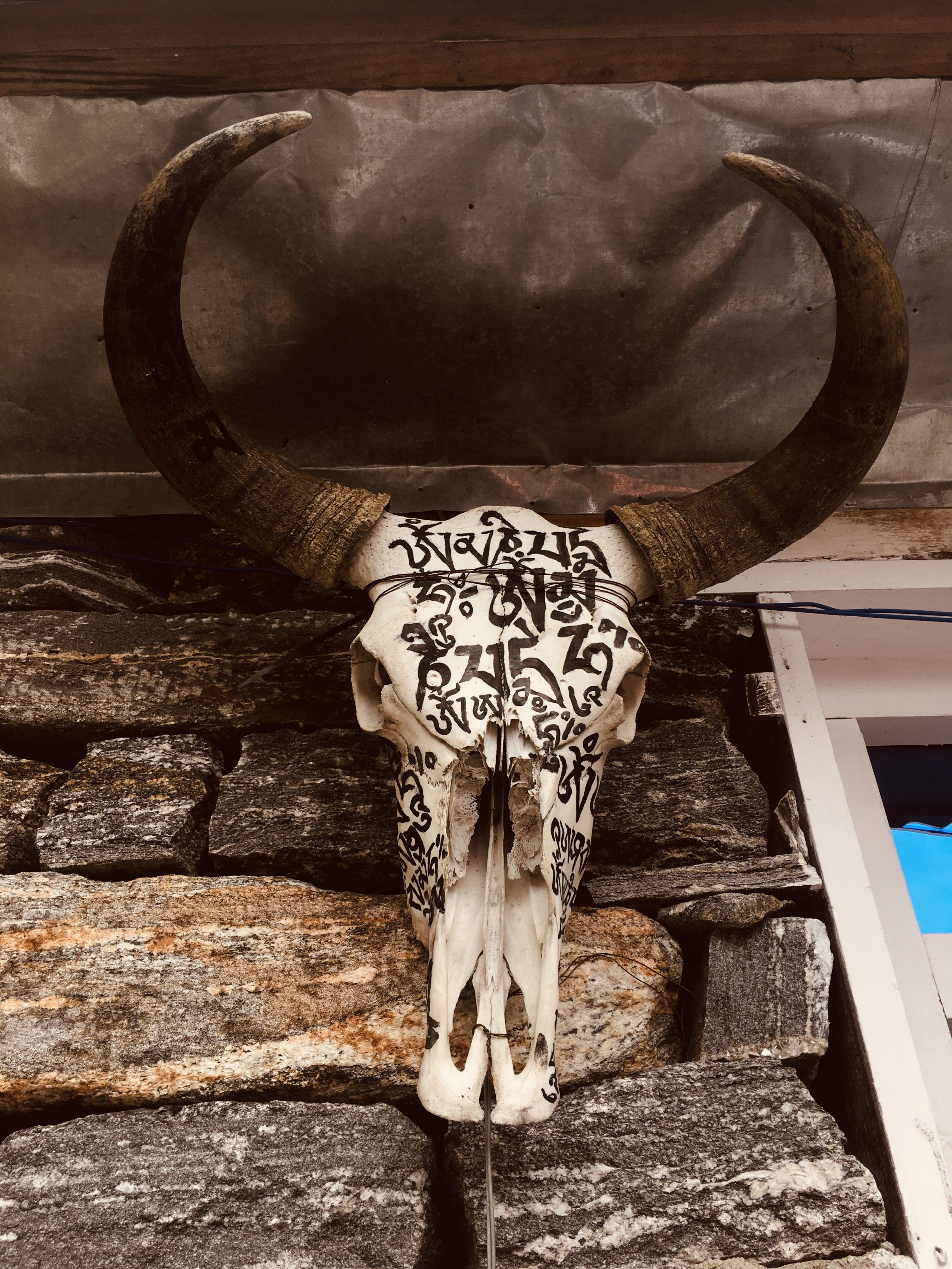 A large animal skull with long, curved horns is mounted on a wall made of stacked stones. The skull has intricate black markings or inscriptions on its surface.