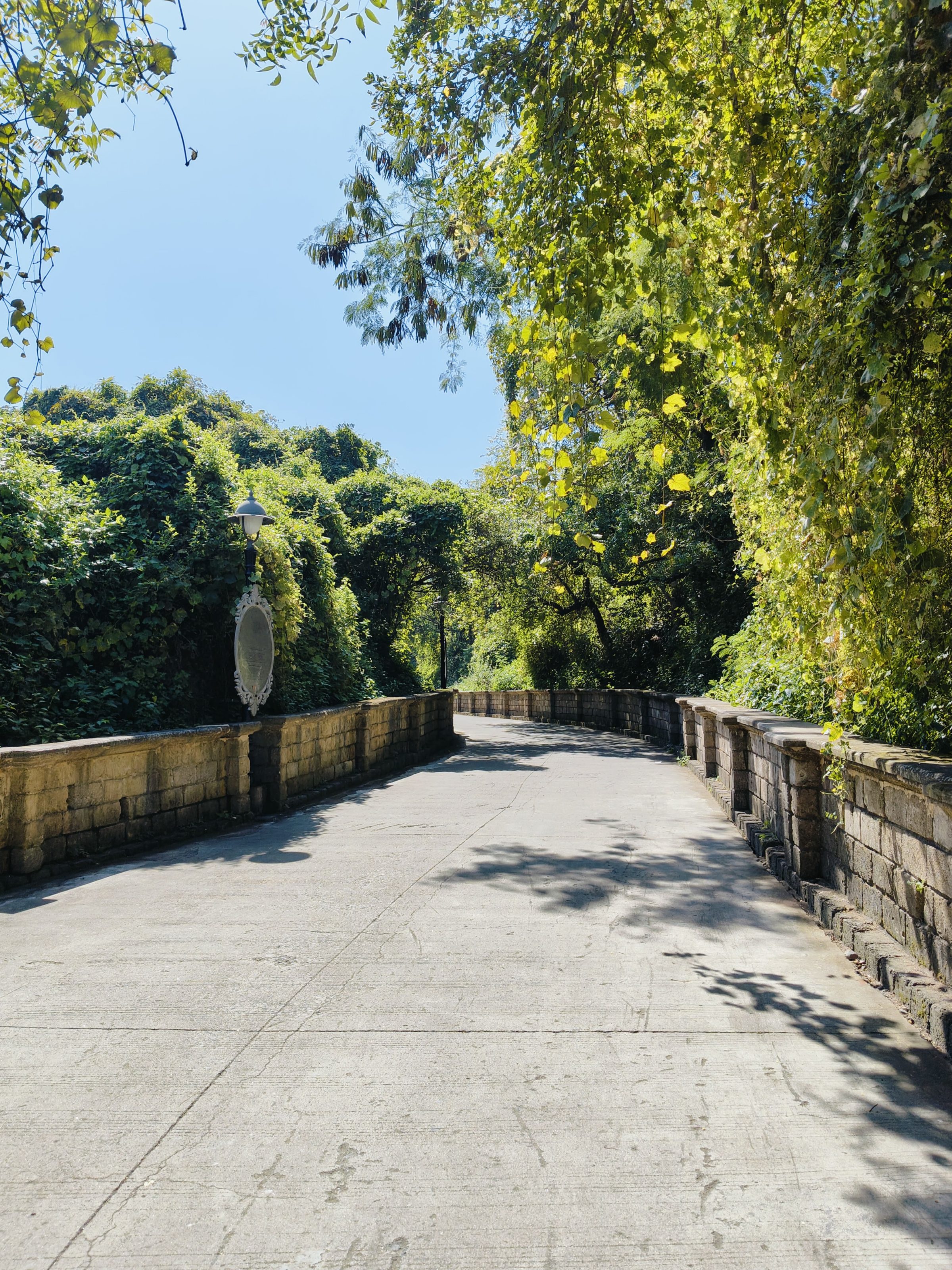 A sunlit stone pathway curves slightly, flanked by low stone walls and lush greenery. Overhanging trees create a canopy, with sunlight filtering through the leaves, casting shadows on the path. A vintage-style lamppost is partially visible on the left. The sky is clear and blue.