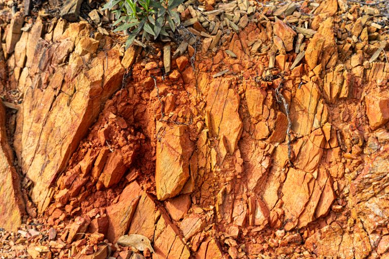 Cracked and layered orange and brown ferrous rock face with a small green plant growing near the top, showing signs of weathering and erosion.