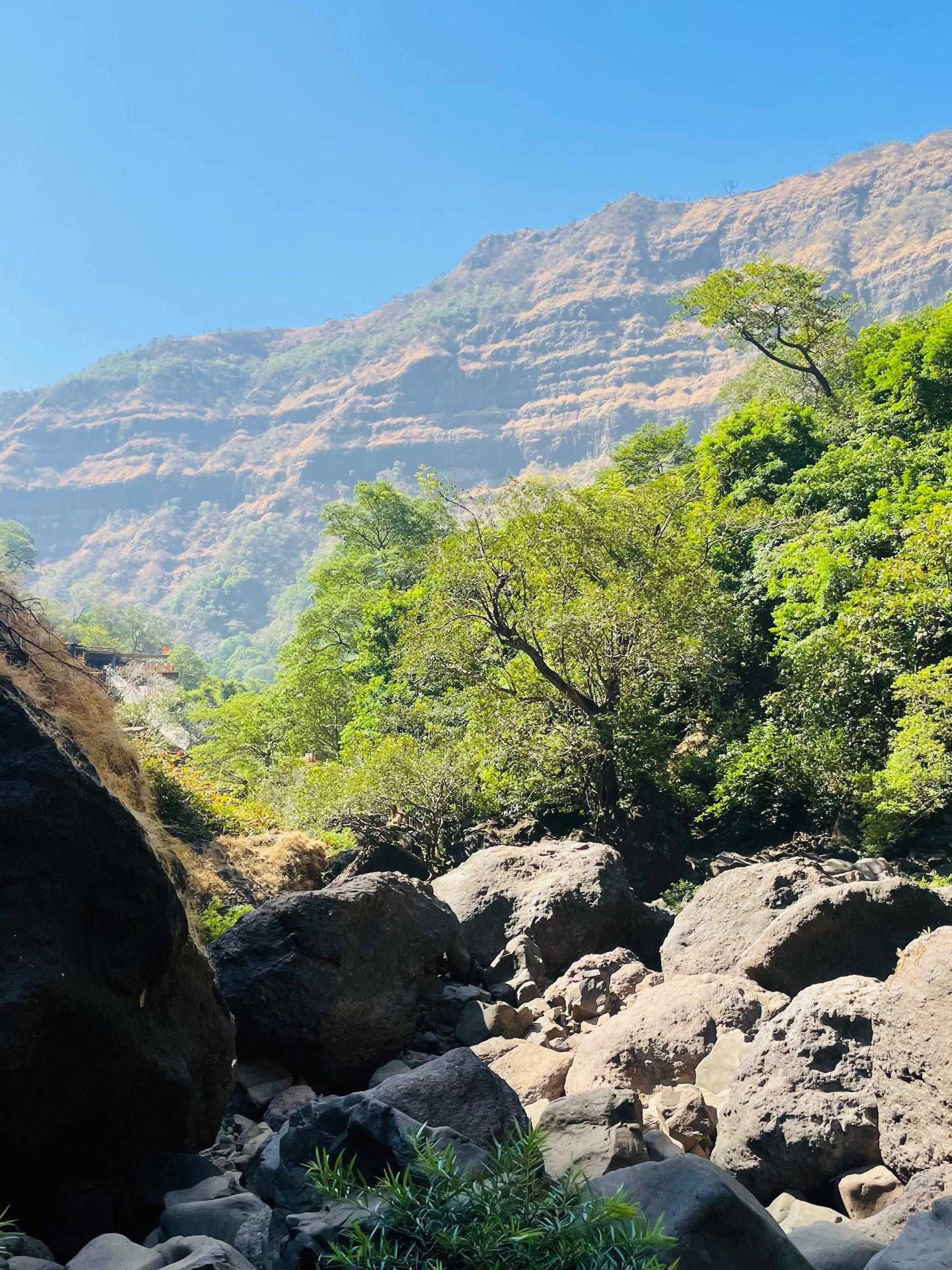 A scenic view of a rocky landscape with large boulders in the foreground and lush green trees scattered throughout. Behind the trees, the slope of a rocky mountain rises, topped with greenery.