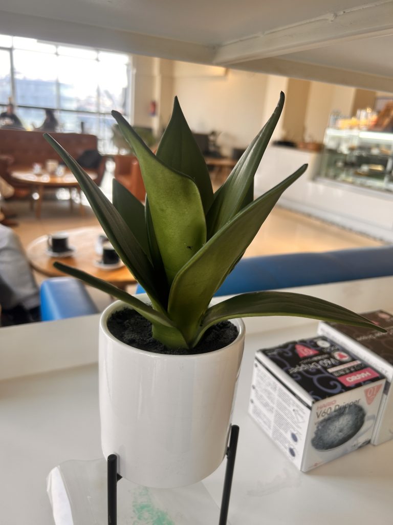 A close-up of a green plant in a small, white pot placed on a white surface. In the background, there is a blurred interior of a cafe with tables, chairs, and people