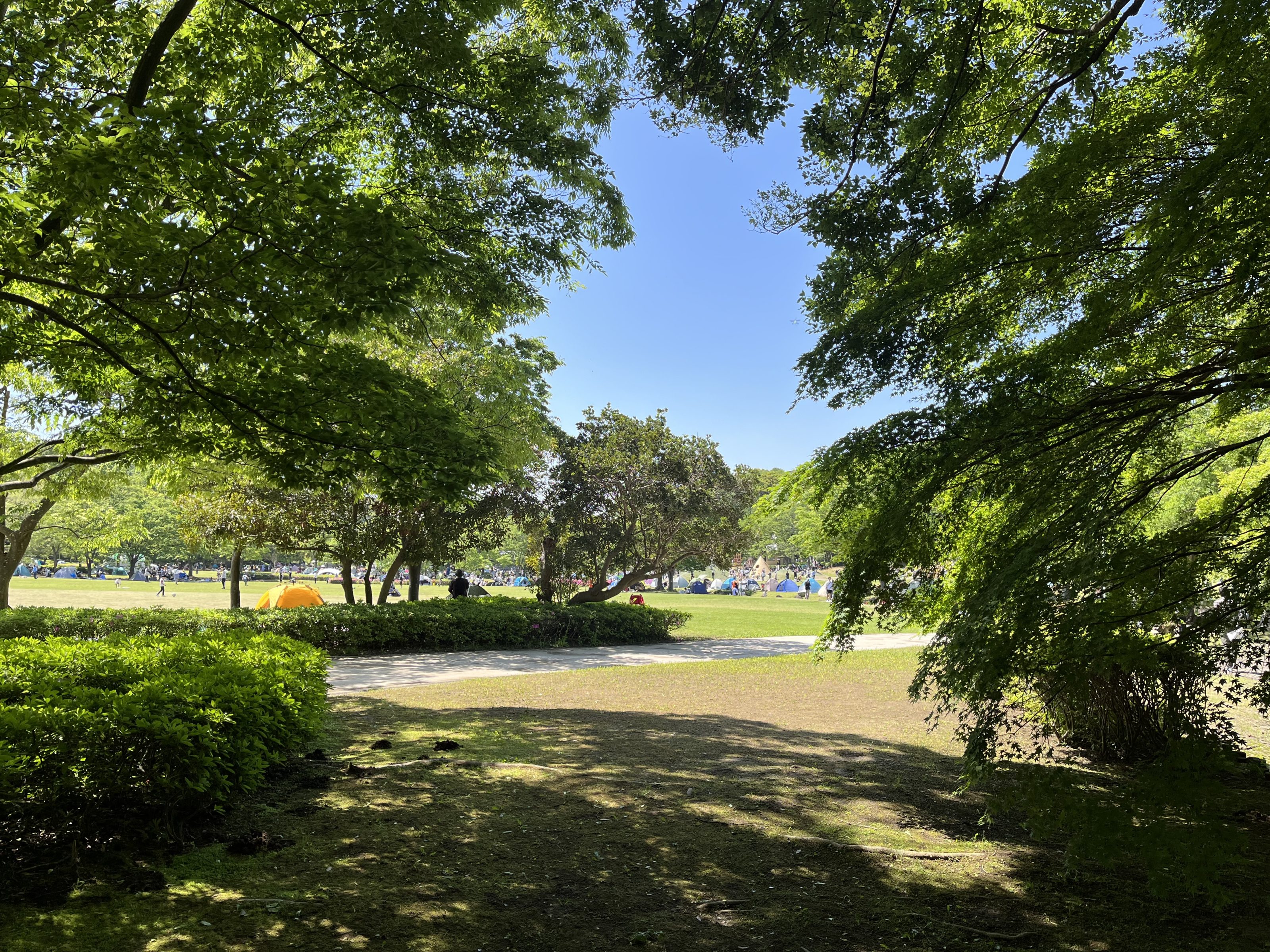 A lush, green park landscape with trees and bushes in the foreground. In the distance, people are gathered on a grassy field, some near a yellow tent.