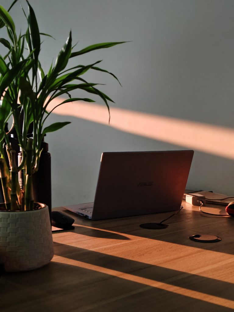 A laptop on a wooden desk with a potted plant in the foreground, bathed in warm sunlight from the side.