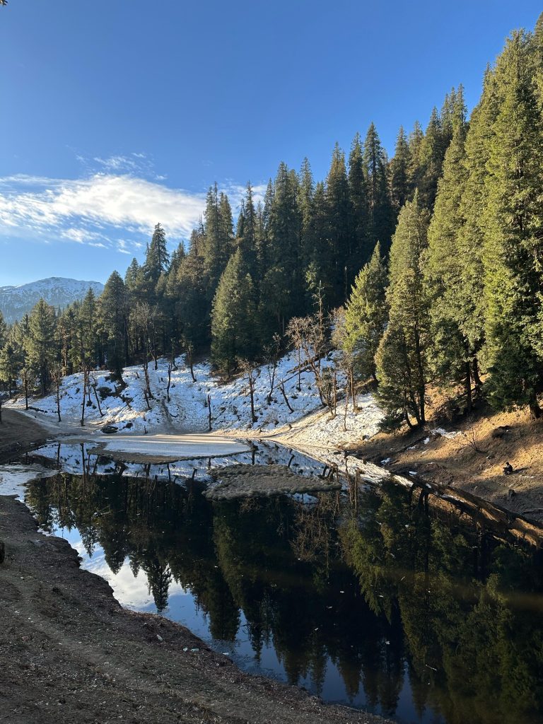 A serene landscape featuring a reflective body of water surrounded by evergreen trees. Snow patches are visible on the ground, and a clear blue sky is above with some clouds.