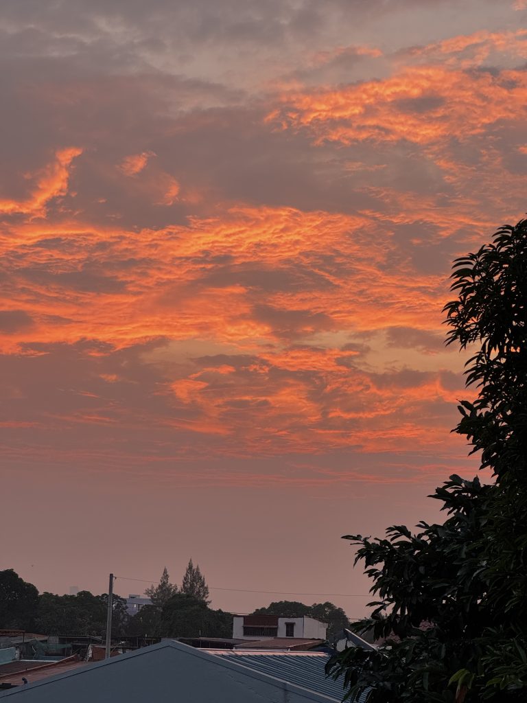 Orange sky at sunset with some trees and roofs of houses in below.