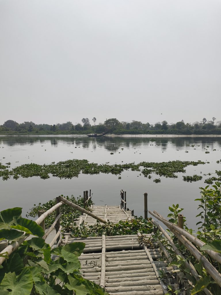 A bamboo pier leads out into a calm lake, surrounded by lush green vegetation. In the background, there are patches of greenery on the water and a distant tree-lined shoreline under a cloudy sky.