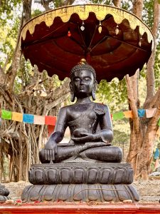 Statue of Lord Bishnu