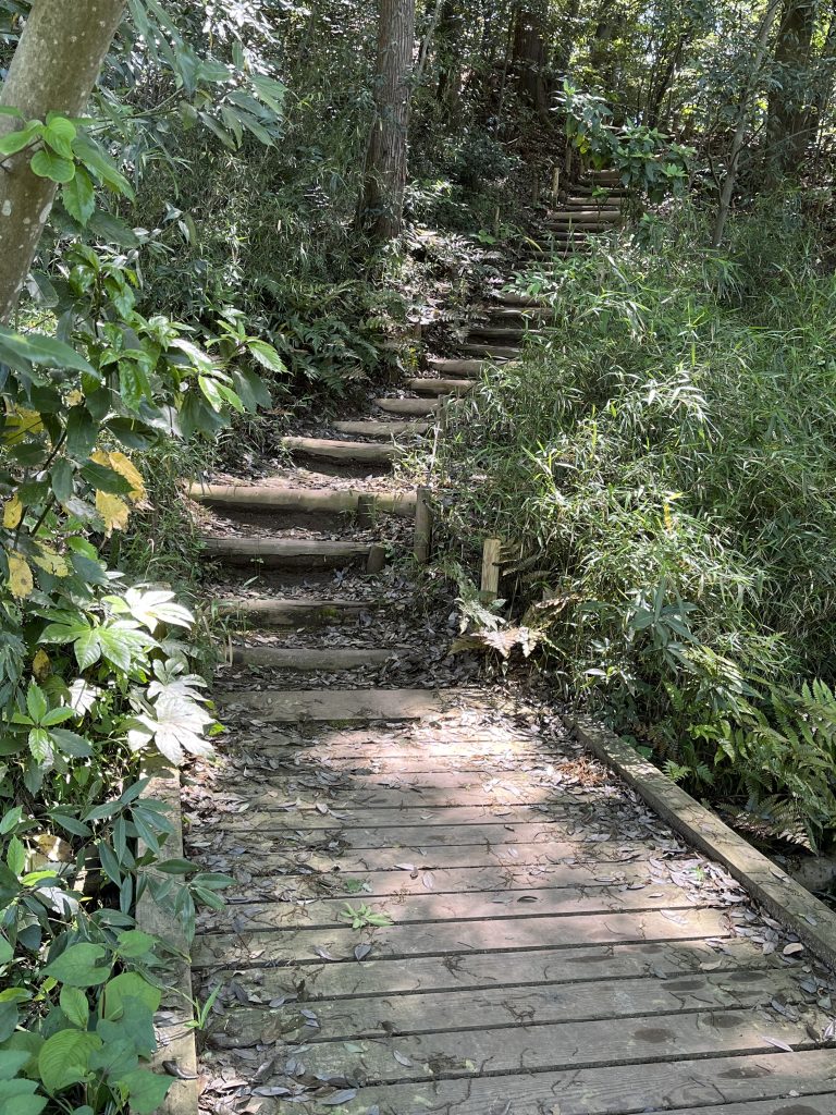 Walking Path Inside the Garden