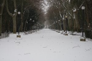 Central walkway of the Campo Grande park in Valladolid covered in snow