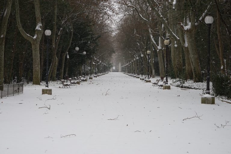 Central walkway of the Campo Grande park in Valladolid covered in snow