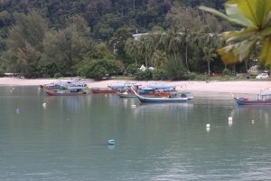 A scenic view of a calm coastal area with colorful wooden fishing boats floating near the shore. The beach is lined with palm trees and greenery, with small tents and a few buildings visible in the background. The water reflects the boats, and buoys are scattered in the foreground.