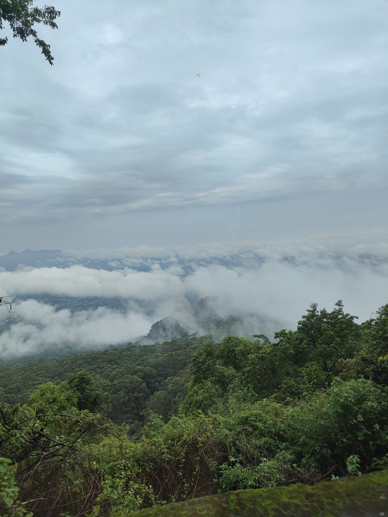 A lush green forest stretches across the landscape, with mountainous terrain partially obscured by low-lying clouds. The sky above is overcast with a light gray cloud cover.