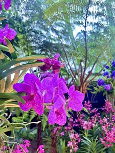 Vivid purple orchids are in the foreground, surrounded by lush green foliage and scattered pink flowers. The background features tall fern trees and a bright sky.