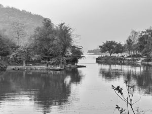 A serene black and white image of a lake in Pokhara surrounded by trees. The water reflects the trees and a small dock with boats is visible in the foreground. In the distance, more trees and a gentle hill can be seen, creating a tranquil, natural scene.