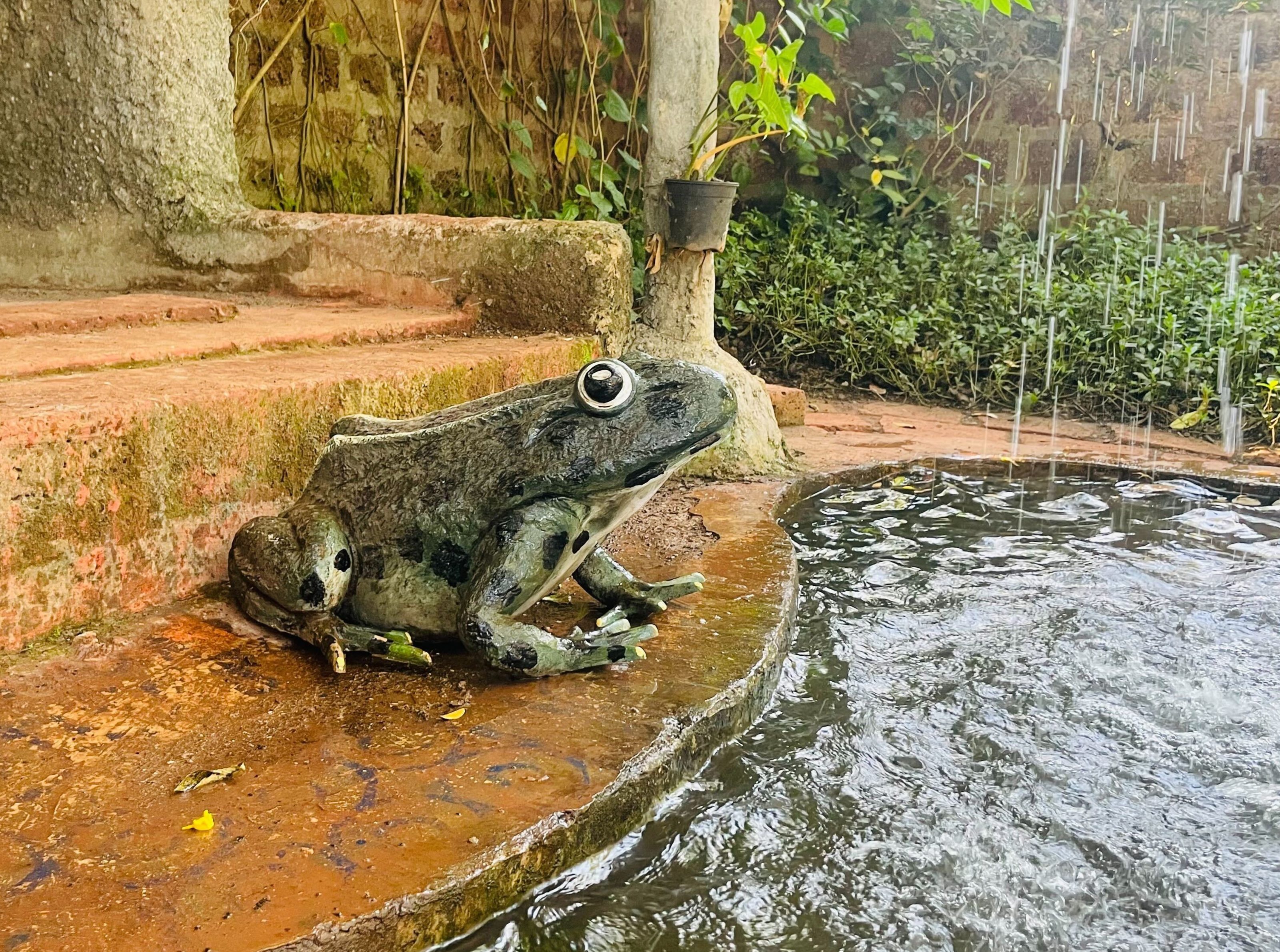 A large frog statue sits on the edge of a small, round pond with water cascading into it. The surrounding area has brick steps, greenery, and a hanging flower pot