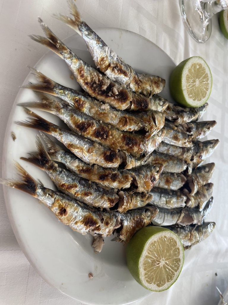 Roasted sardines, typical food from Malaga (Spain)