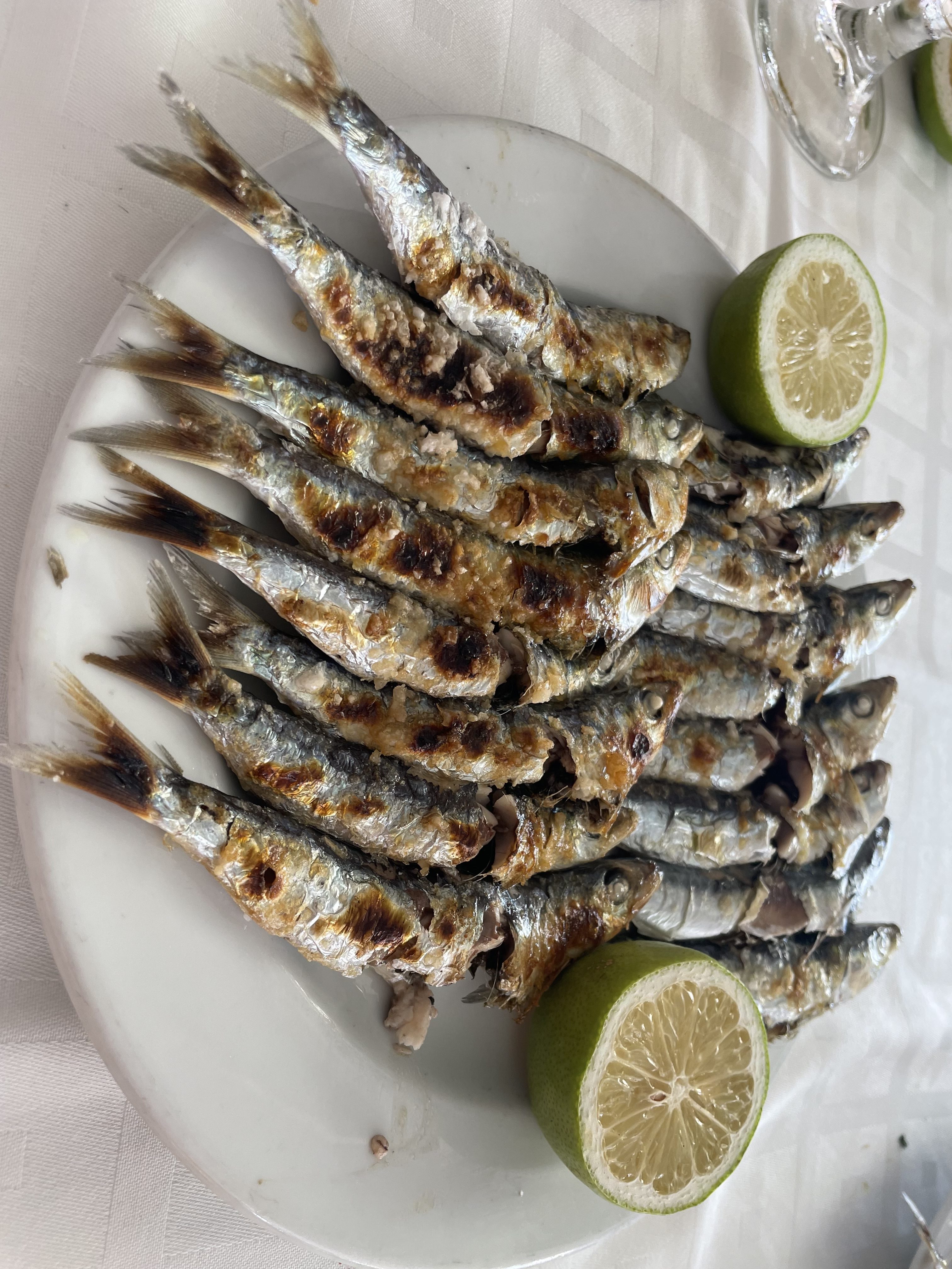 Roasted sardines, typical food from Malaga (Spain) 