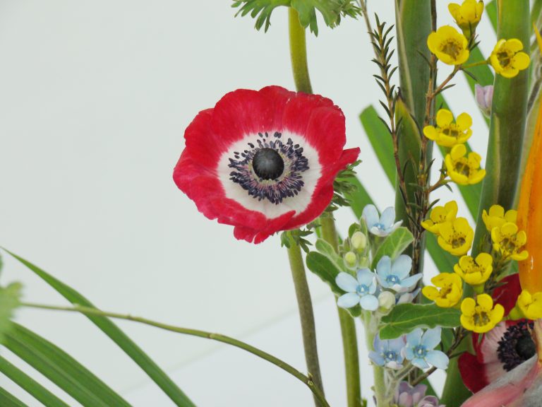 A vibrant floral arrangement featuring a prominent red poppy with a dark center, surrounded by yellow and blue flowers, green leaves, and stems on a light background.