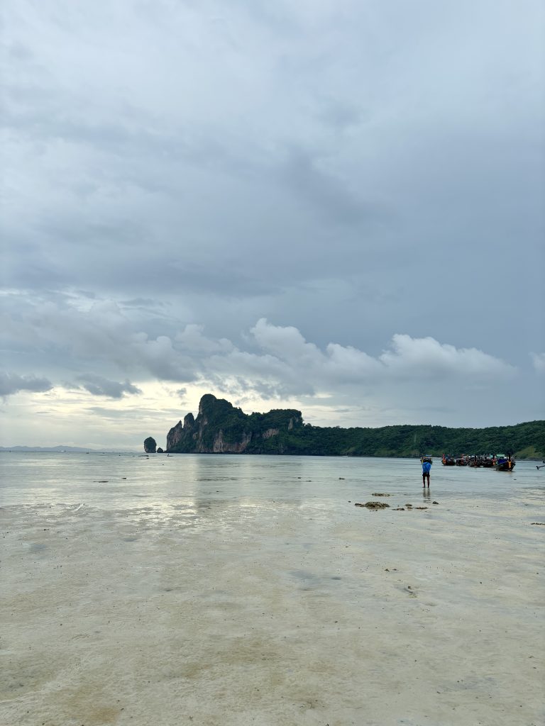 A serene beach scene featuring a distant boat on the horizon, with gentle waves lapping at the shore.