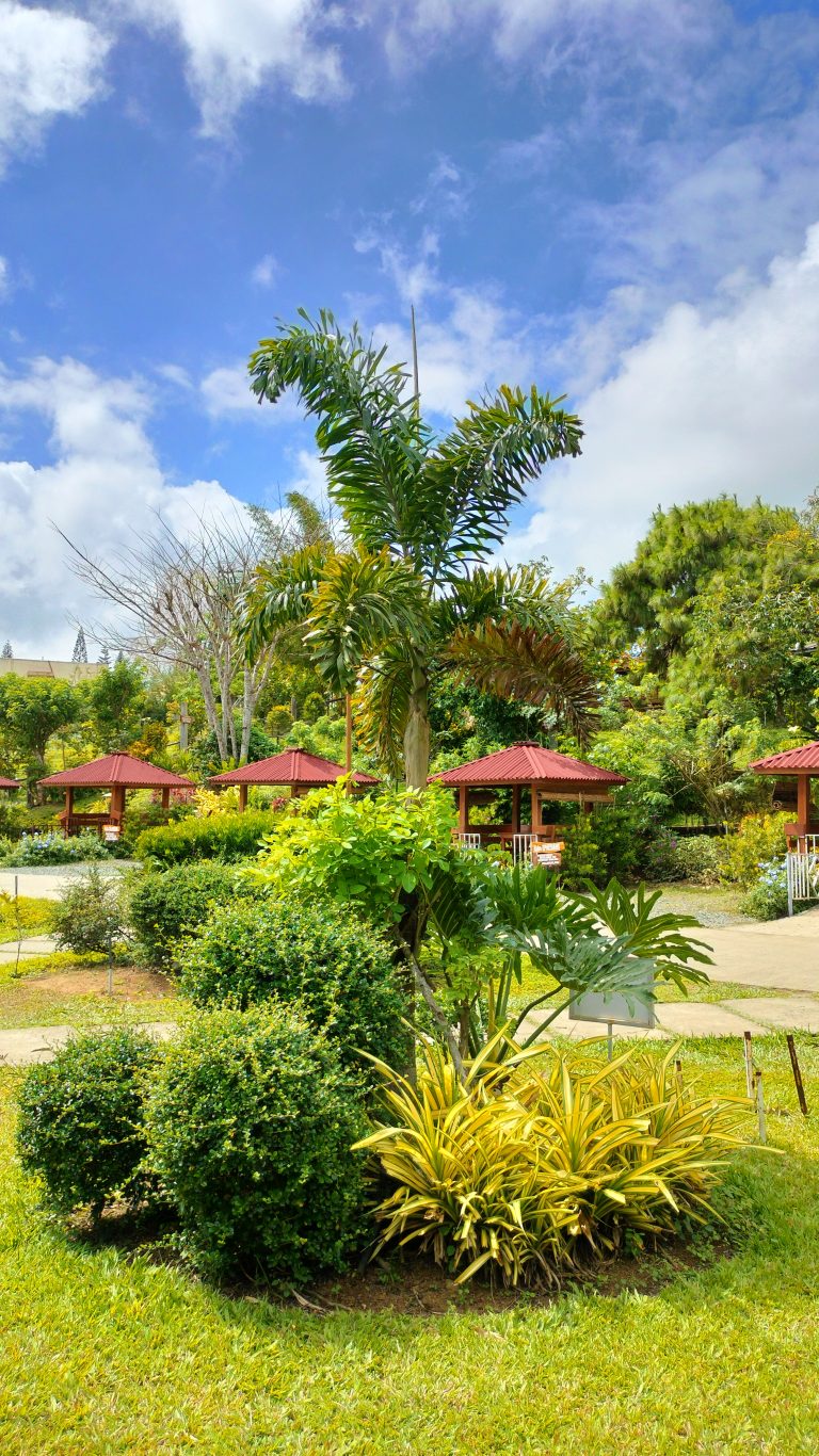 A lush garden scene with various plants and small trees, set against a backdrop of clear blue sky with some clouds