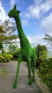 A large giraffe-shaped structure covered in green foliage stands on a paved pathway surrounded by tropical plants under a partly cloudy sky.